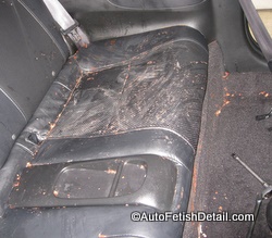 Vomit Car