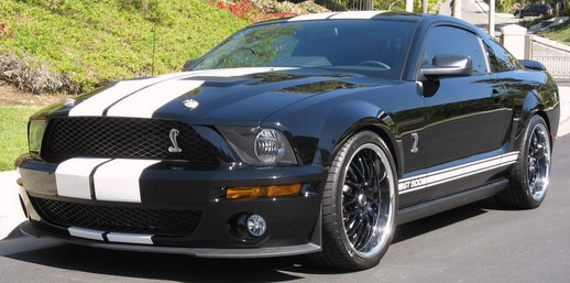 2007 Shelby Cobra GT500 Car Detail by the Car Detailing Expert