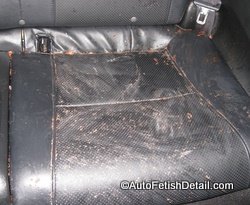 Clean Vomit from Car and help from the Car Detailing Expert Clean Vomit from Car and help from the Car Detailing Expert