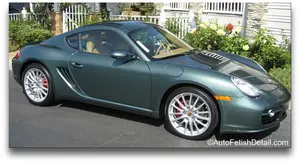 Car paint care