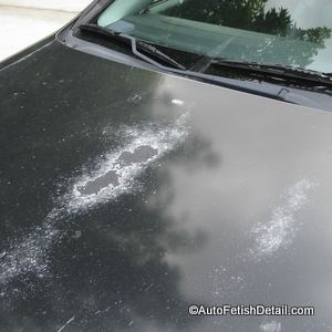 clear coat failure on black car