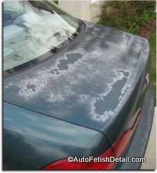 clear coat failure clear coat failure