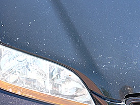 mobile road rash repair