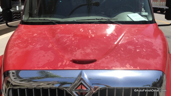 clear coat failure on International, red truck hood clear coat failure on truck
